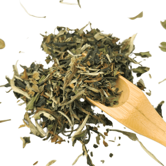 Pai Mu Tan (White Peony) - Porter Hill Tea Company