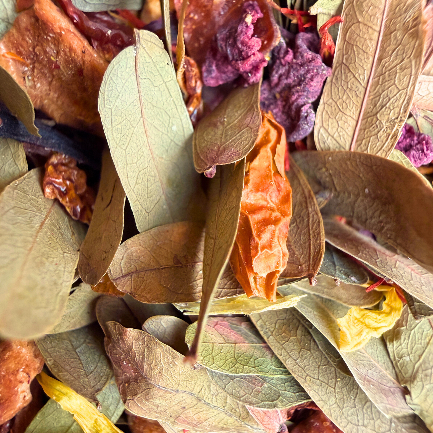 Mango fire loose leaf tea porter hill tea company