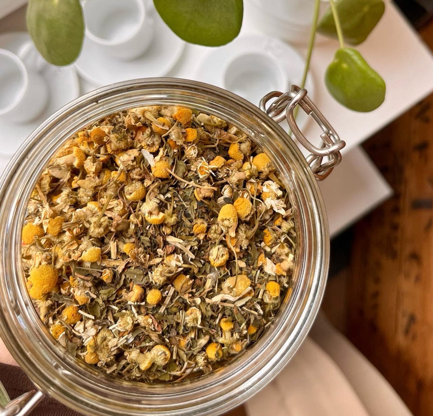 Meadow Morning Walk - Porter Hill Tea Company