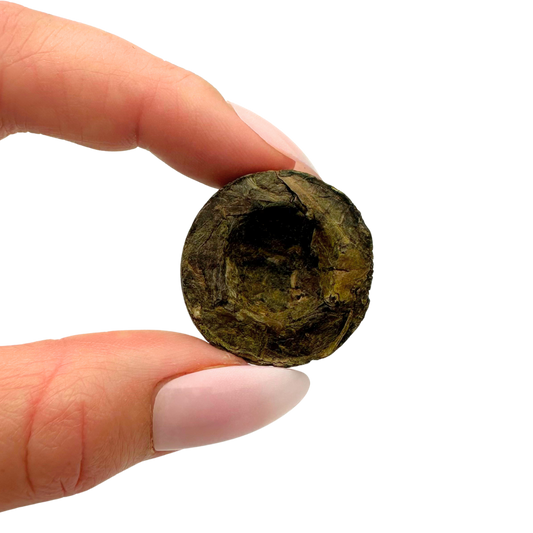 Pu-erh Mini Toucha