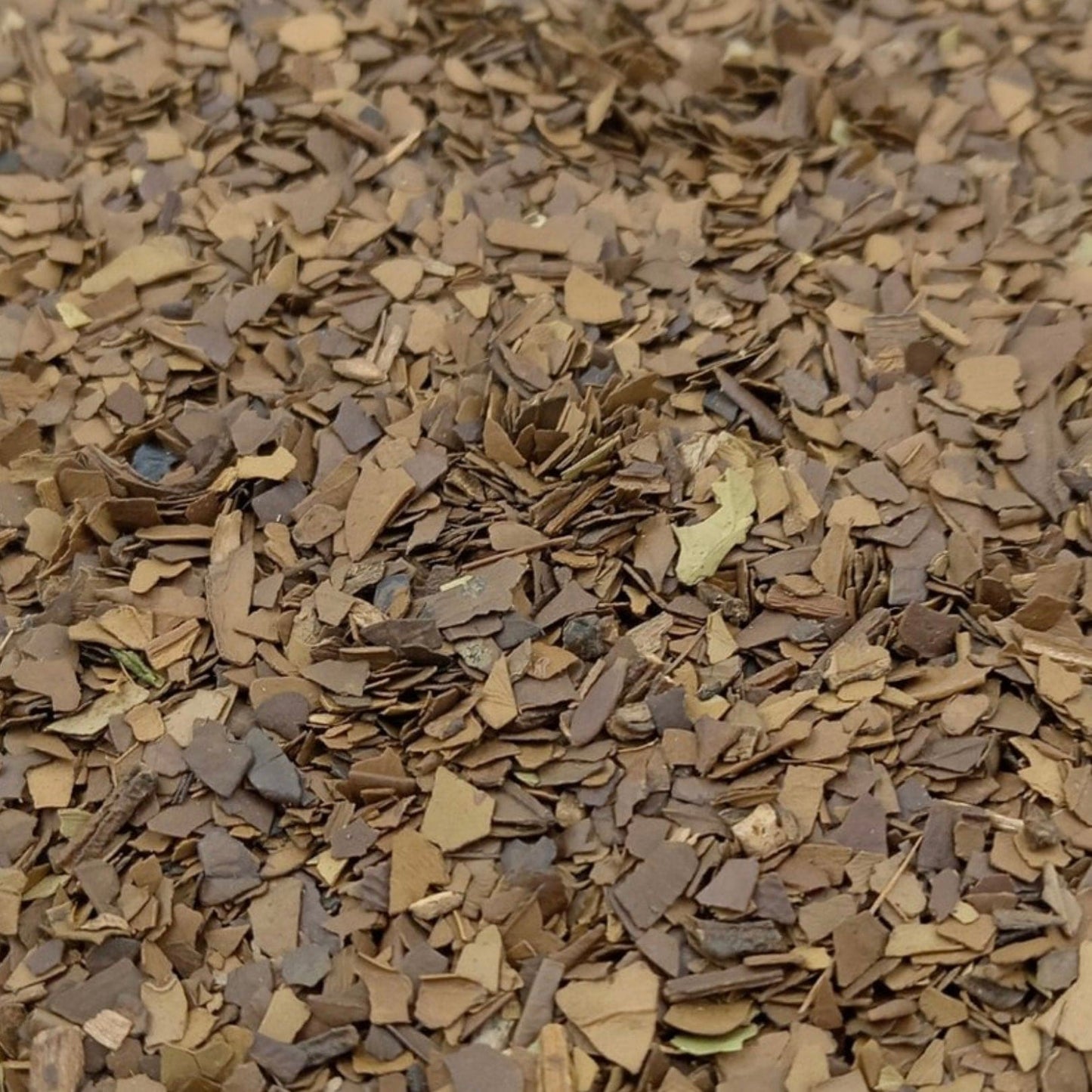 Roasted Yerba - maté - Porter Hill Tea Company