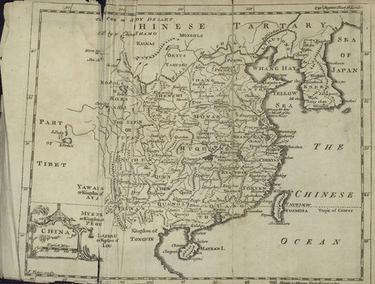 Discover Gunpowder Green Tea: A Unique Leaf With Ancient Origins - Porter Hill Tea Company