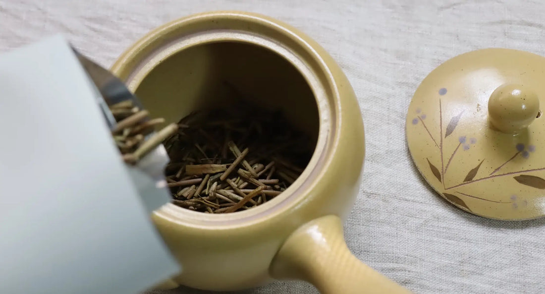 The Essential Guide to Hojicha: Japan’s Toasted Green Tea - Porter Hill Tea Company