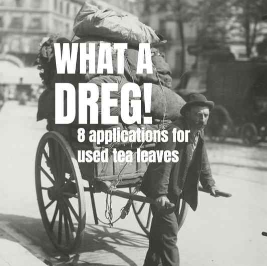 What a Dreg! 8 Ways to Give Used Tea Leaves a Second Life - Porter Hill Tea Company