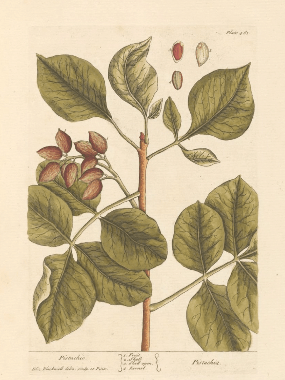 Loose Leaf Tea and Weight Loss. Too good to be true? - Porter Hill Tea Company