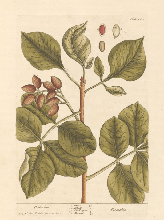 Loose Leaf Tea and Weight Loss. Too good to be true? - Porter Hill Tea Company