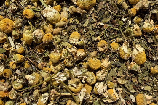 Dried chamomile flowers