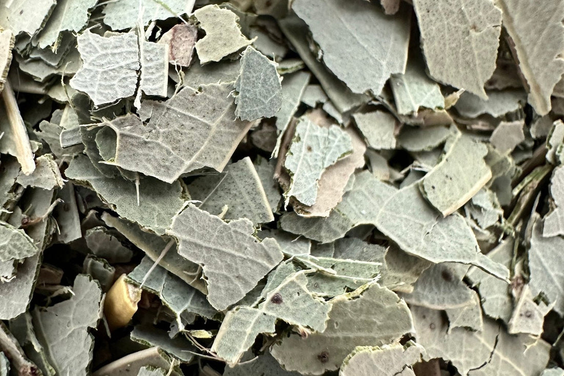 Dried herbal tea leaves