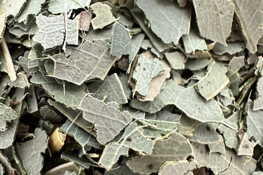 Dried herbal tea leaves