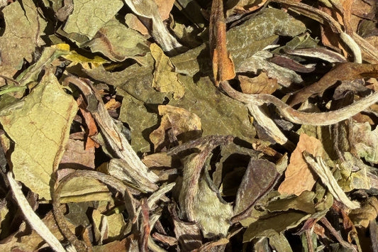 Dried herbal tea leaves