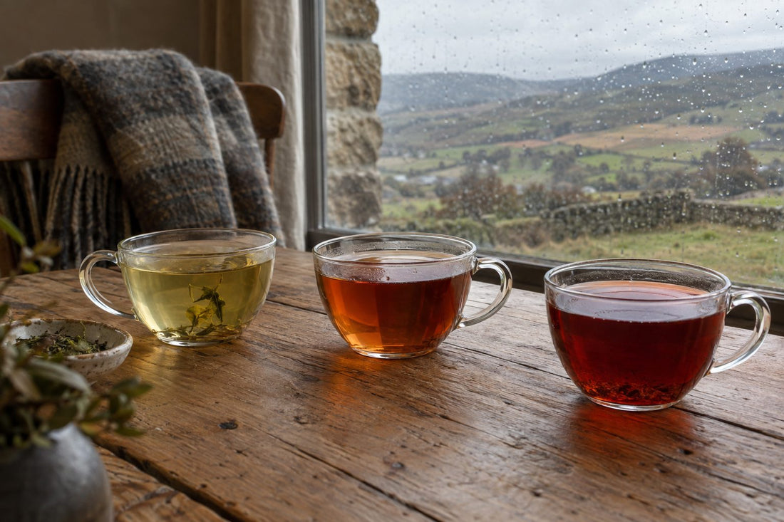 Three glass cups of brewed tea showing benefits of tea varieties in natural light