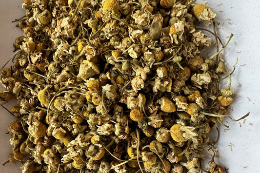 Dried chamomile flowers