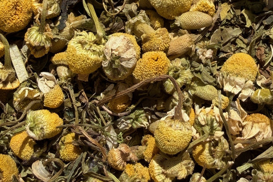 Dried chamomile flowers