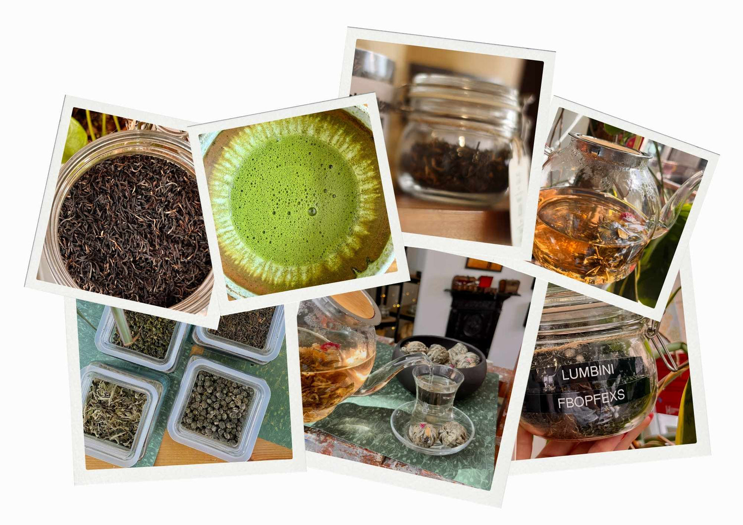 New Arrivals – Discover Our Latest Loose Leaf Tea Blends & Fresh Finds - Porter Hill Tea Company
