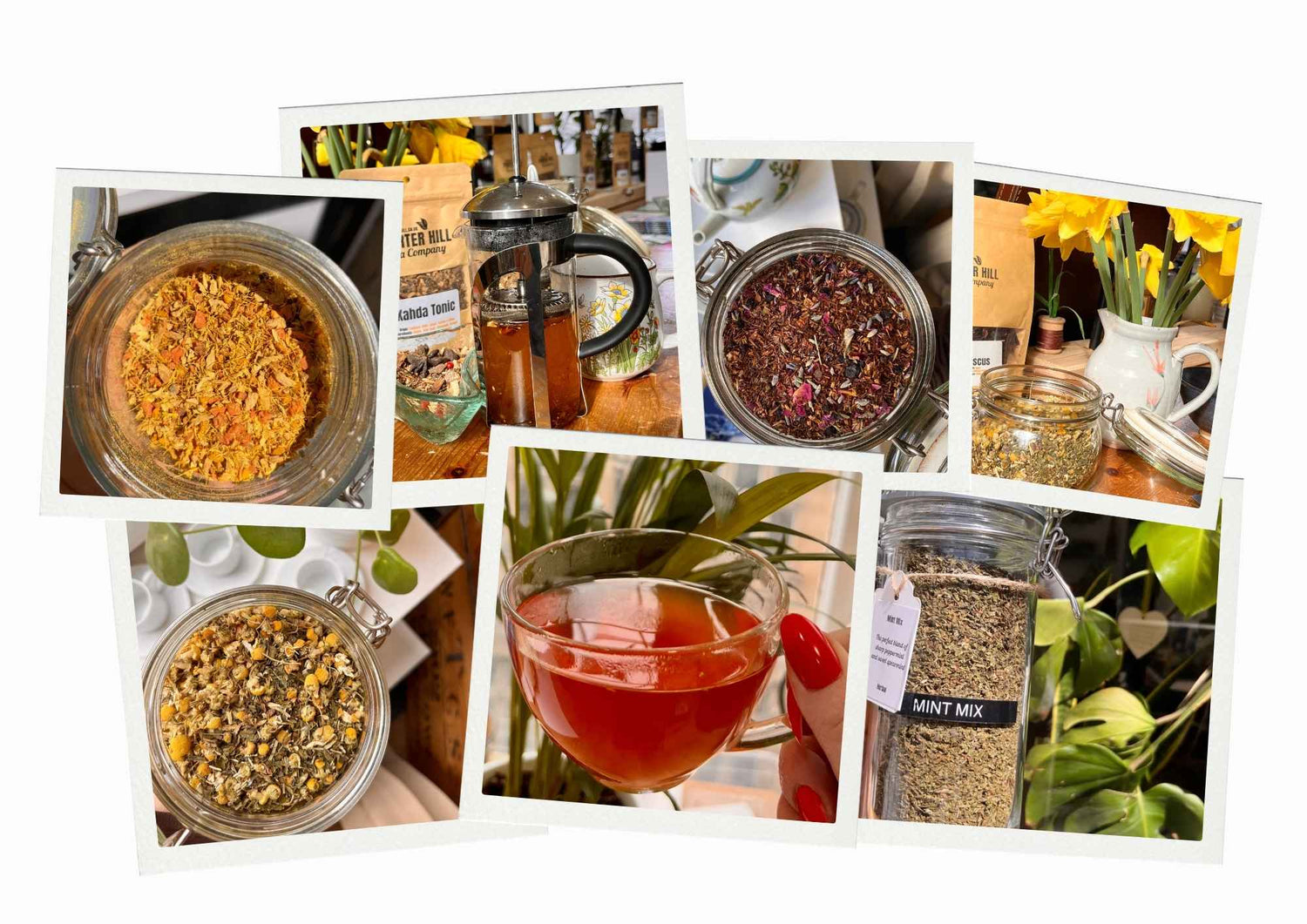 Spring Selection – Fresh, Floral & Uplifting Loose Leaf Teas for a Brighter Brew - Porter Hill Tea Company