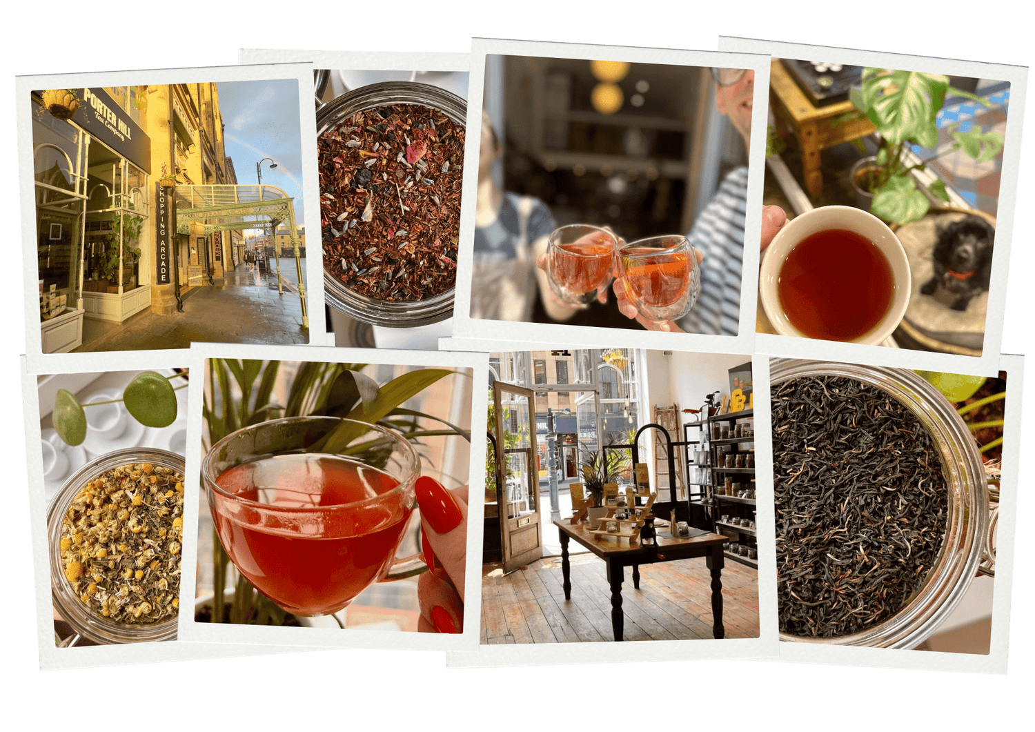 Low Caffeine Loose Leaf Teas