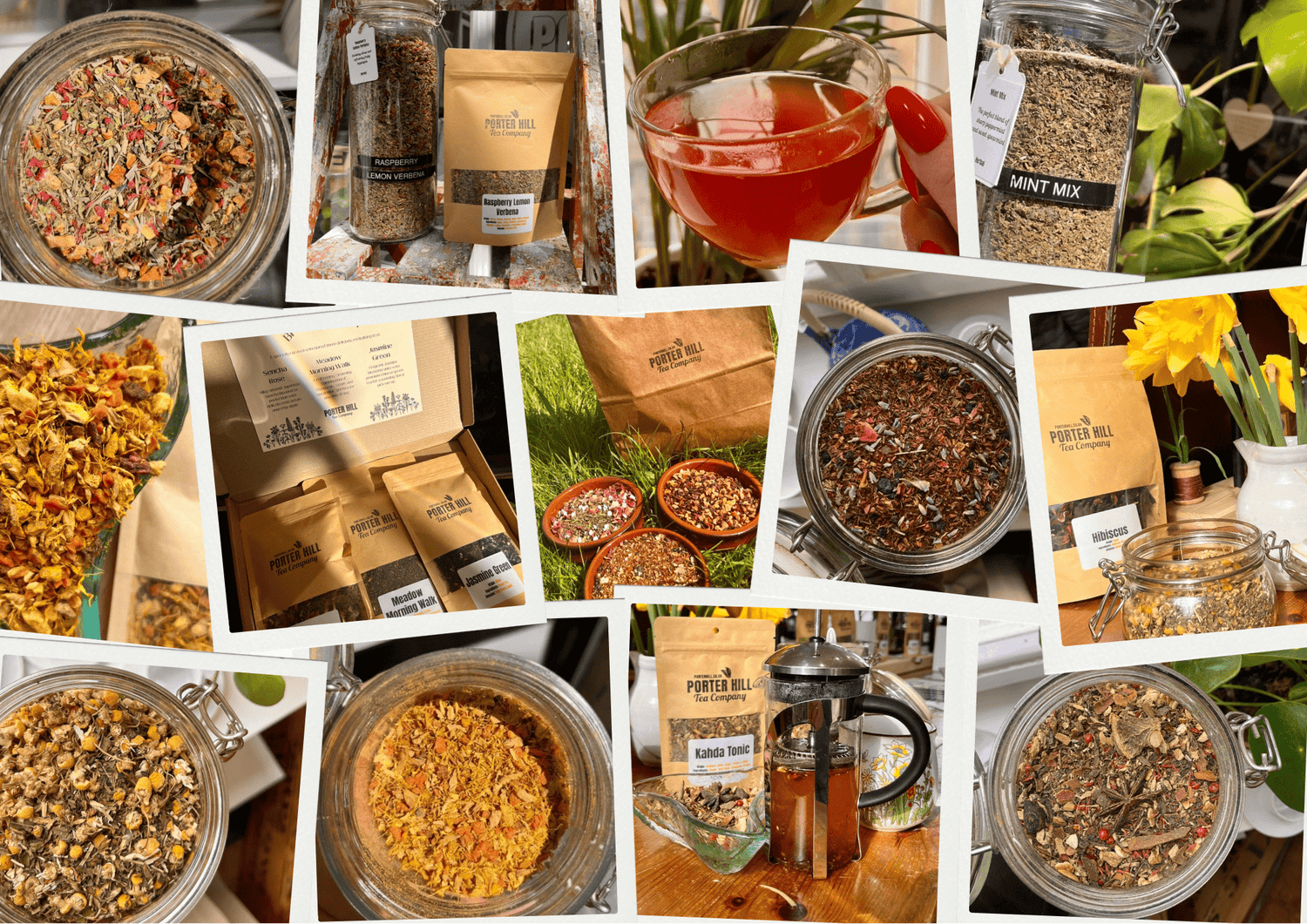 Winter Wellness Teas – Comforting, Immune-Supporting Blends for Cold Weather - Porter Hill Tea Company