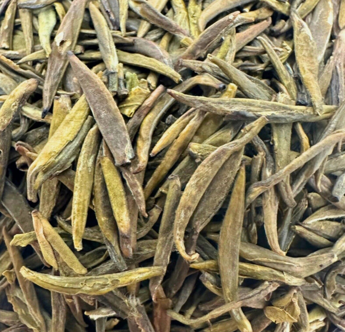 Badaling Yellow Tea from Porter Hill, light and mellow
