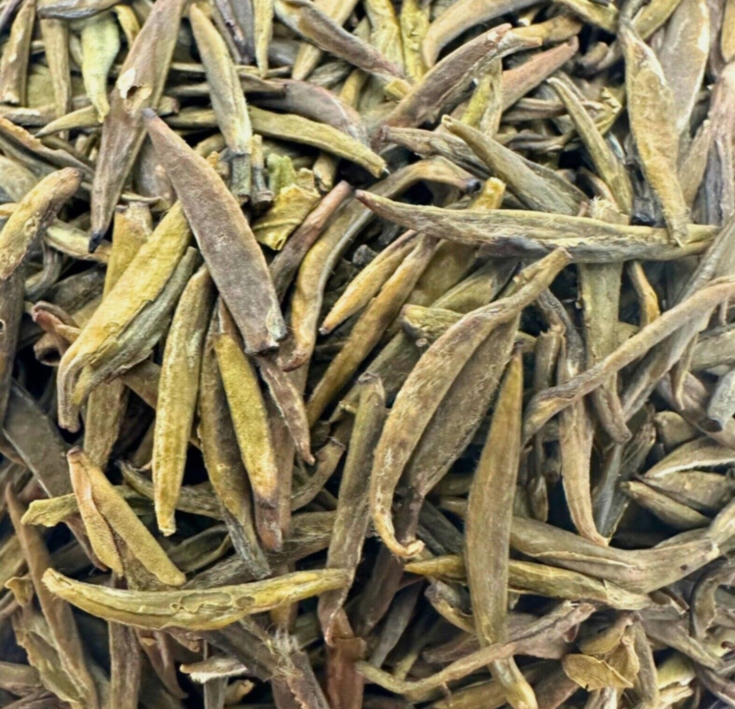 Badaling Yellow Tea - Porter Hill Tea Company