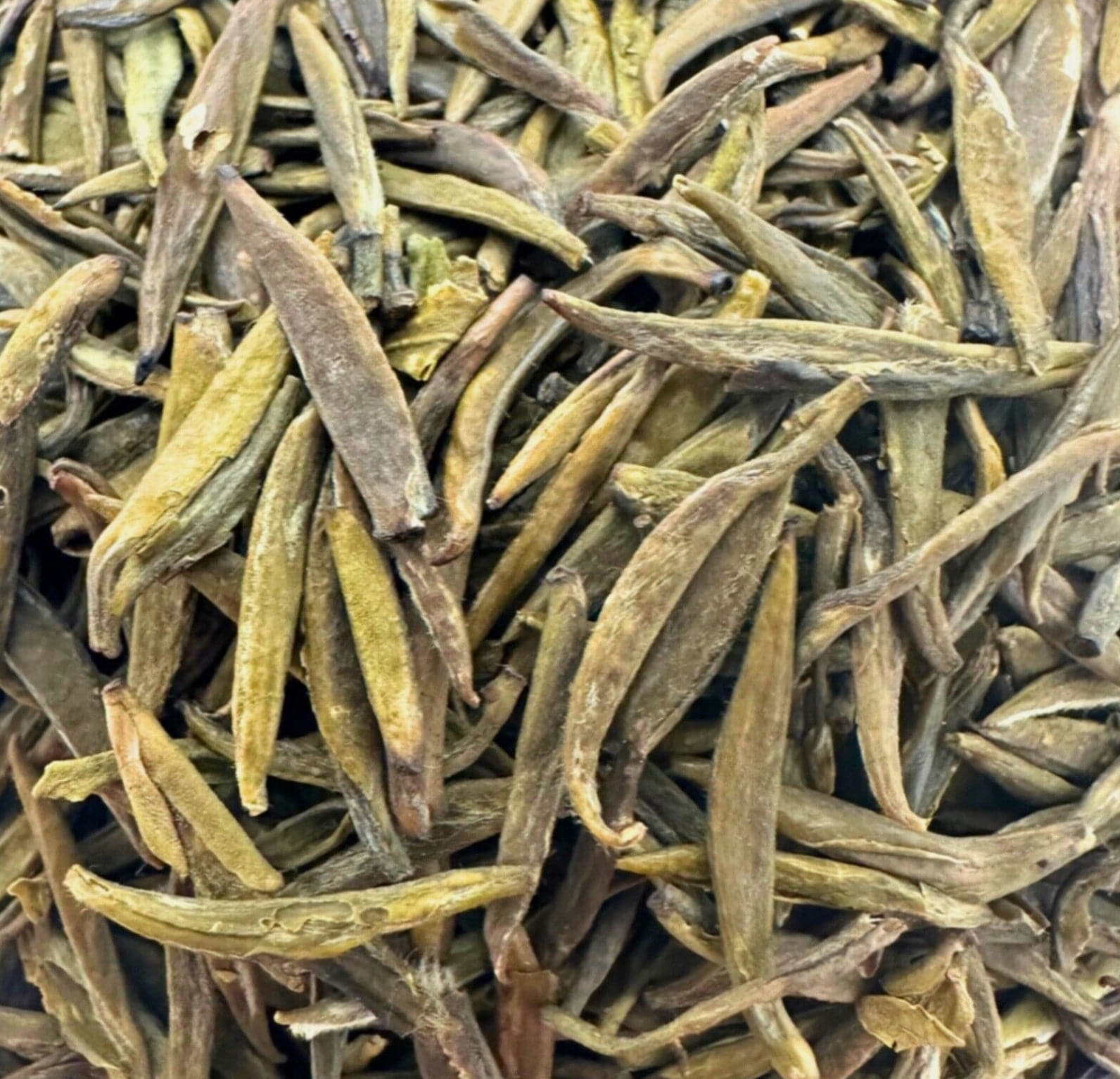 Badaling Yellow Tea - Porter Hill Tea Company