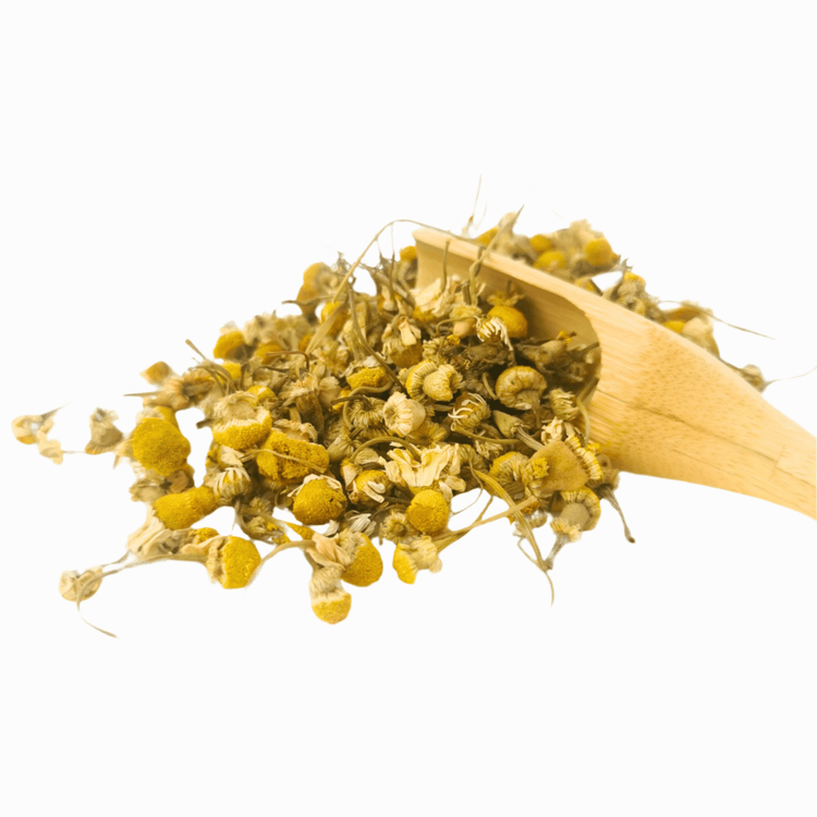 Chamomile Blossom - Porter Hill Tea Company