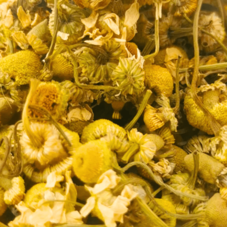 Dried whole chamomile flowers