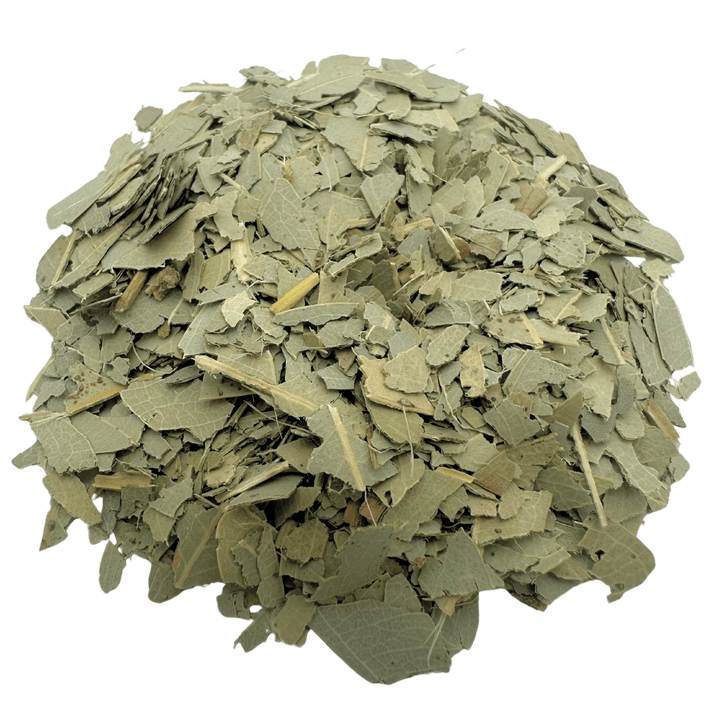 Eucalyptus - Porter Hill Tea Company