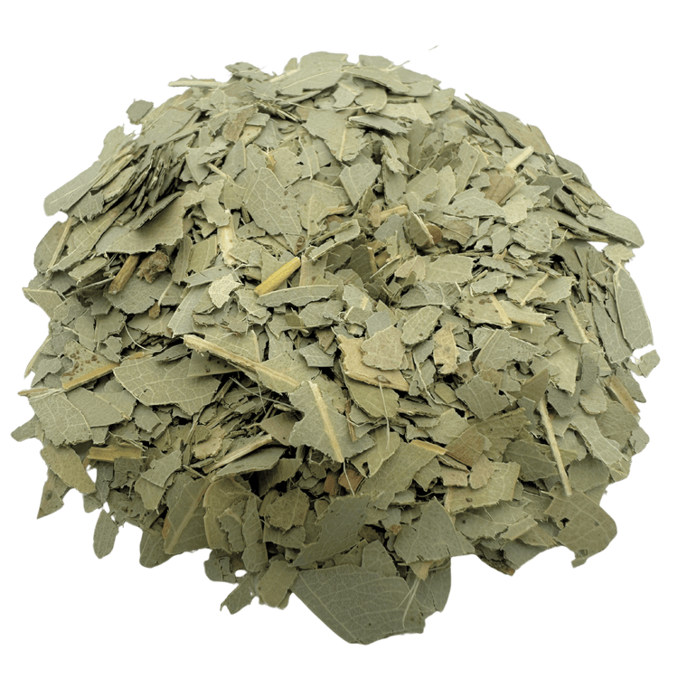 Eucalyptus - Porter Hill Tea Company