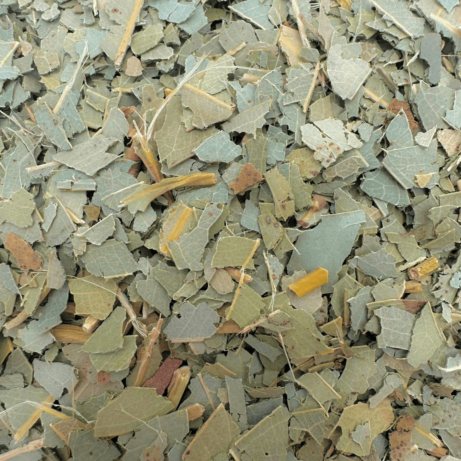 Eucalyptus - Porter Hill Tea Company