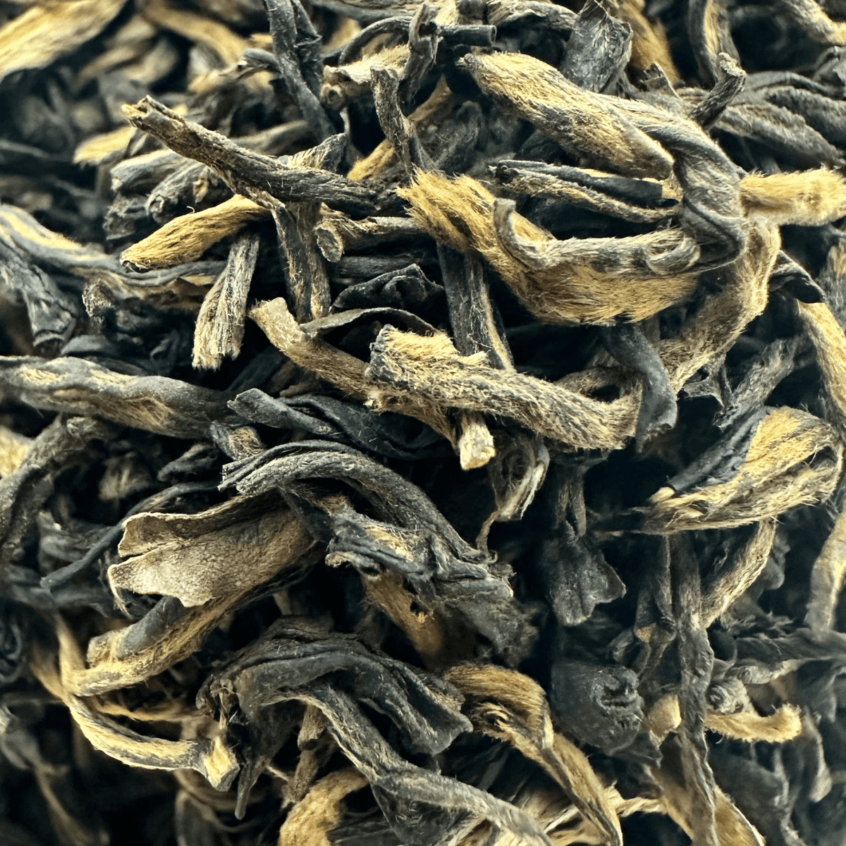 Golden-tipped Golden Heaven Yunnan loose leaf black tea