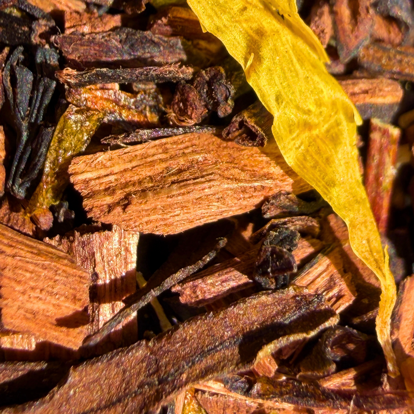 Honeyed peach loose leaf herbal honeybush tea