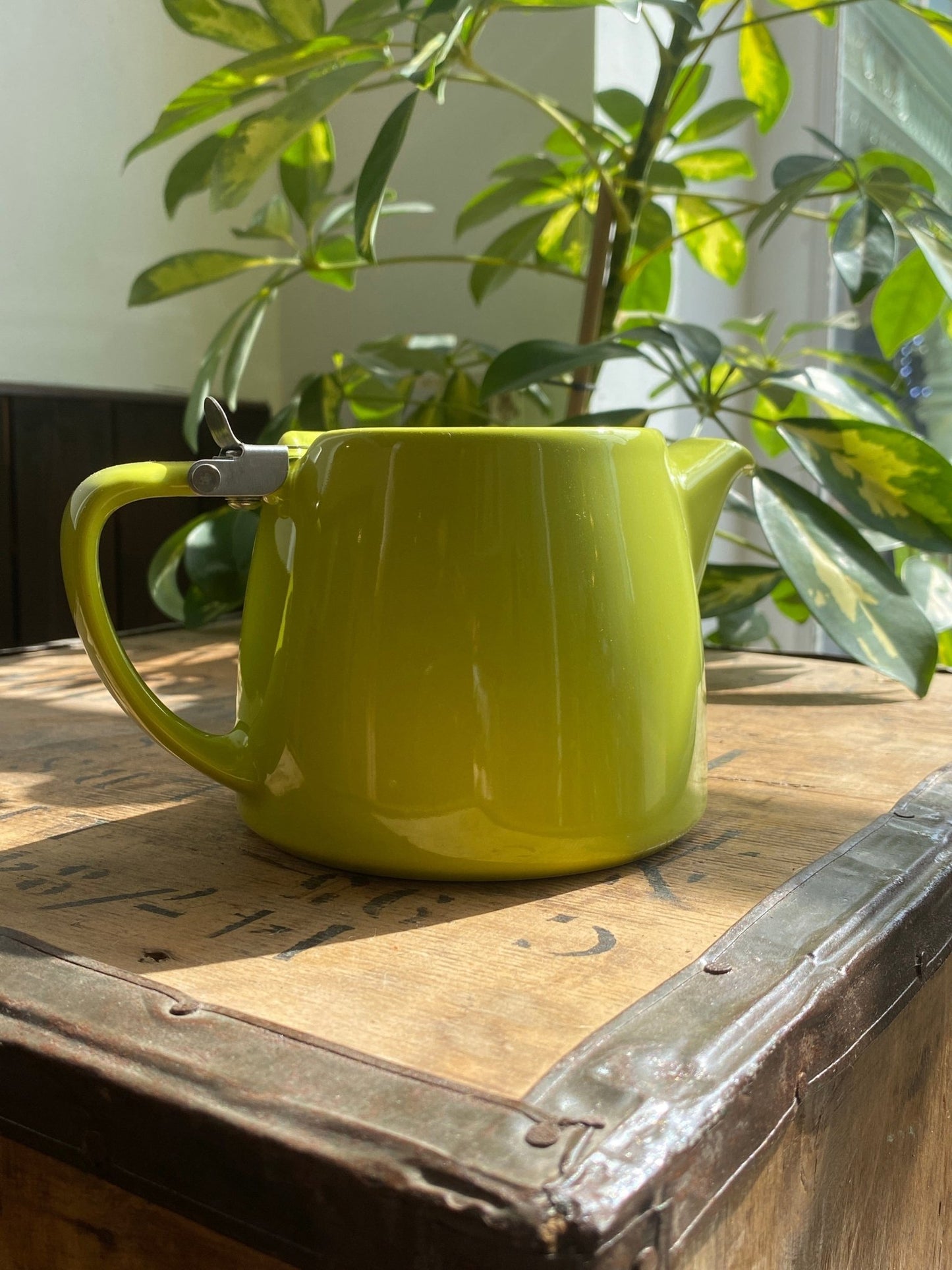 FORLIFE Stump Teapot – 2 Cup Ceramic Teapot with Infuser (530ml) - Porter Hill Tea Company