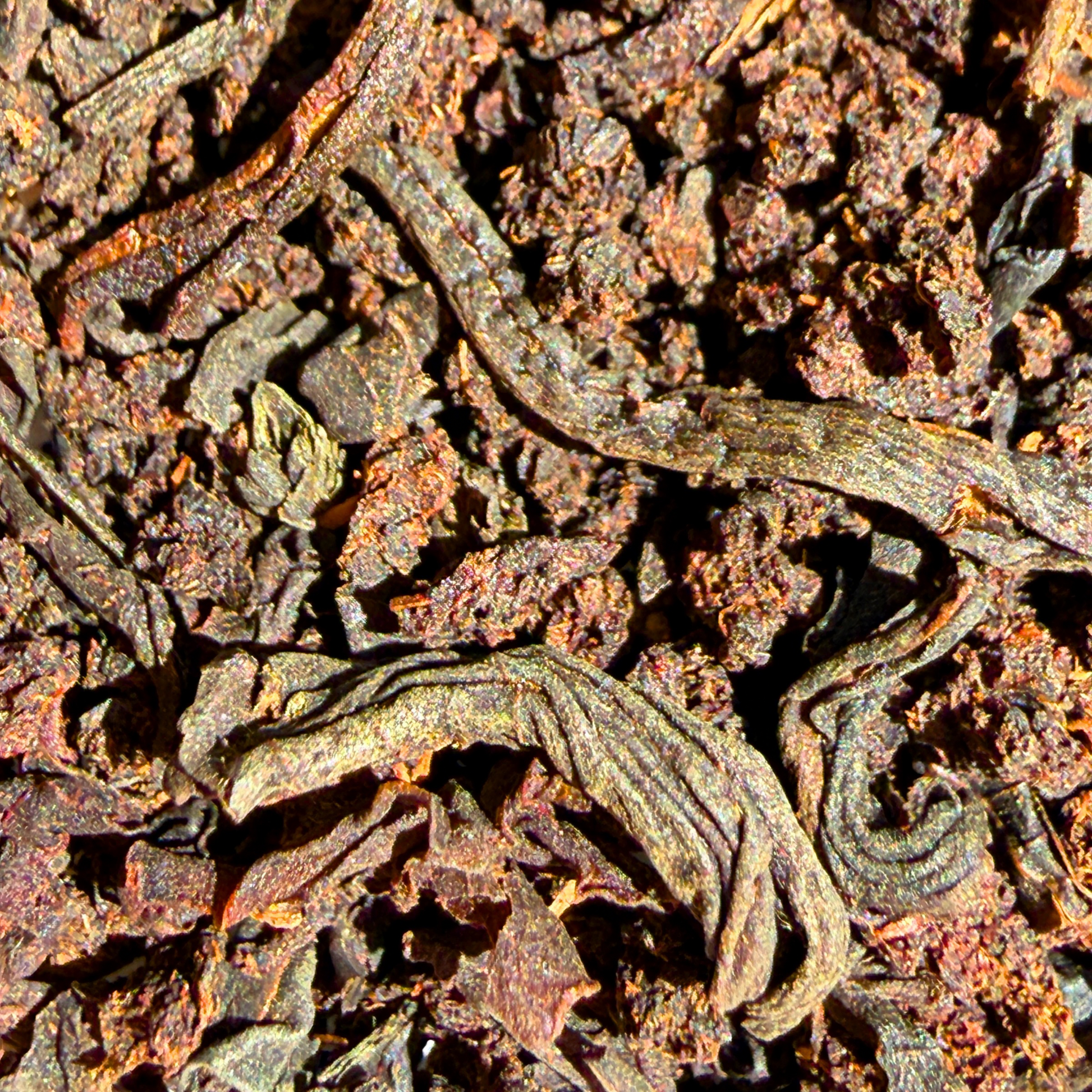 Loose leaf English breakfast black tea