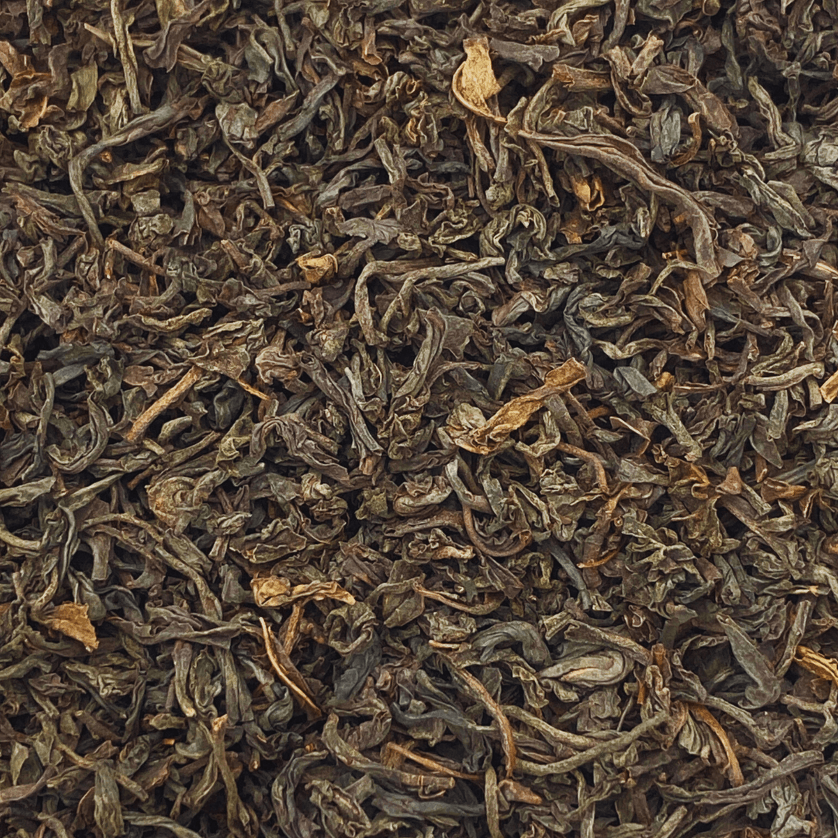 Close-up of long, twisted Lover’s Leap Ceylon OP black tea leaves
