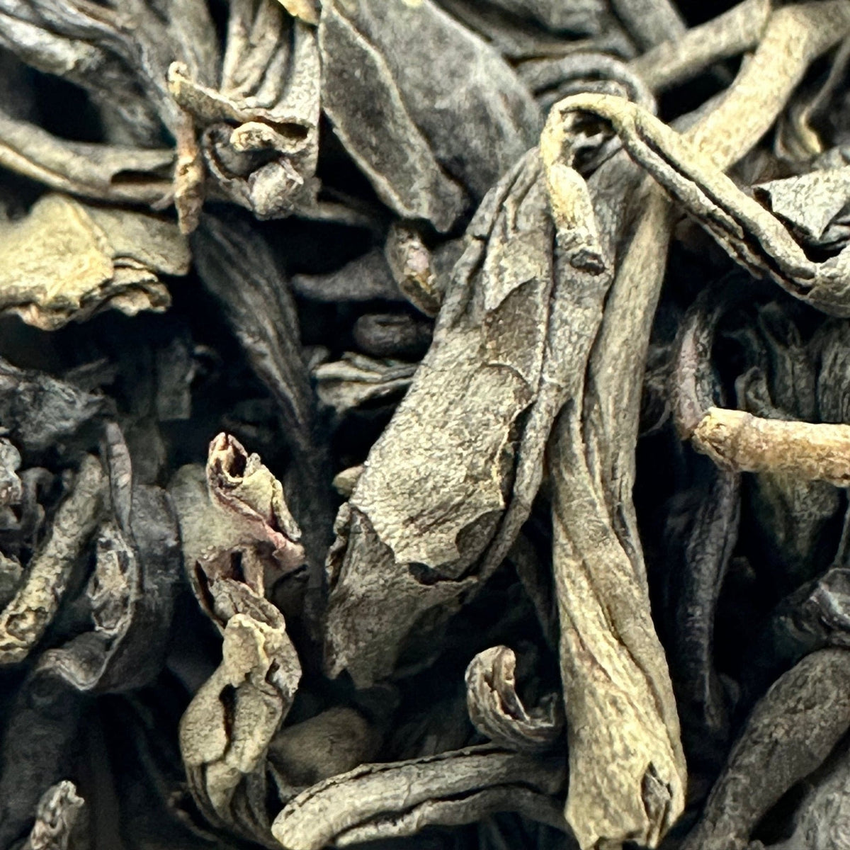 Lucky Dragon Hyson green tea from Porter Hill, lively and grassy