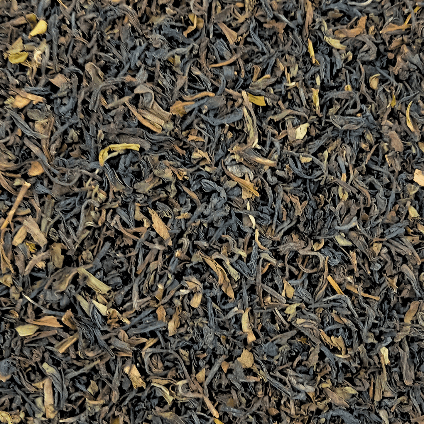 Margaret's Hope Darjeeling 2nd Flush TGFOP - Porter Hill Tea Company