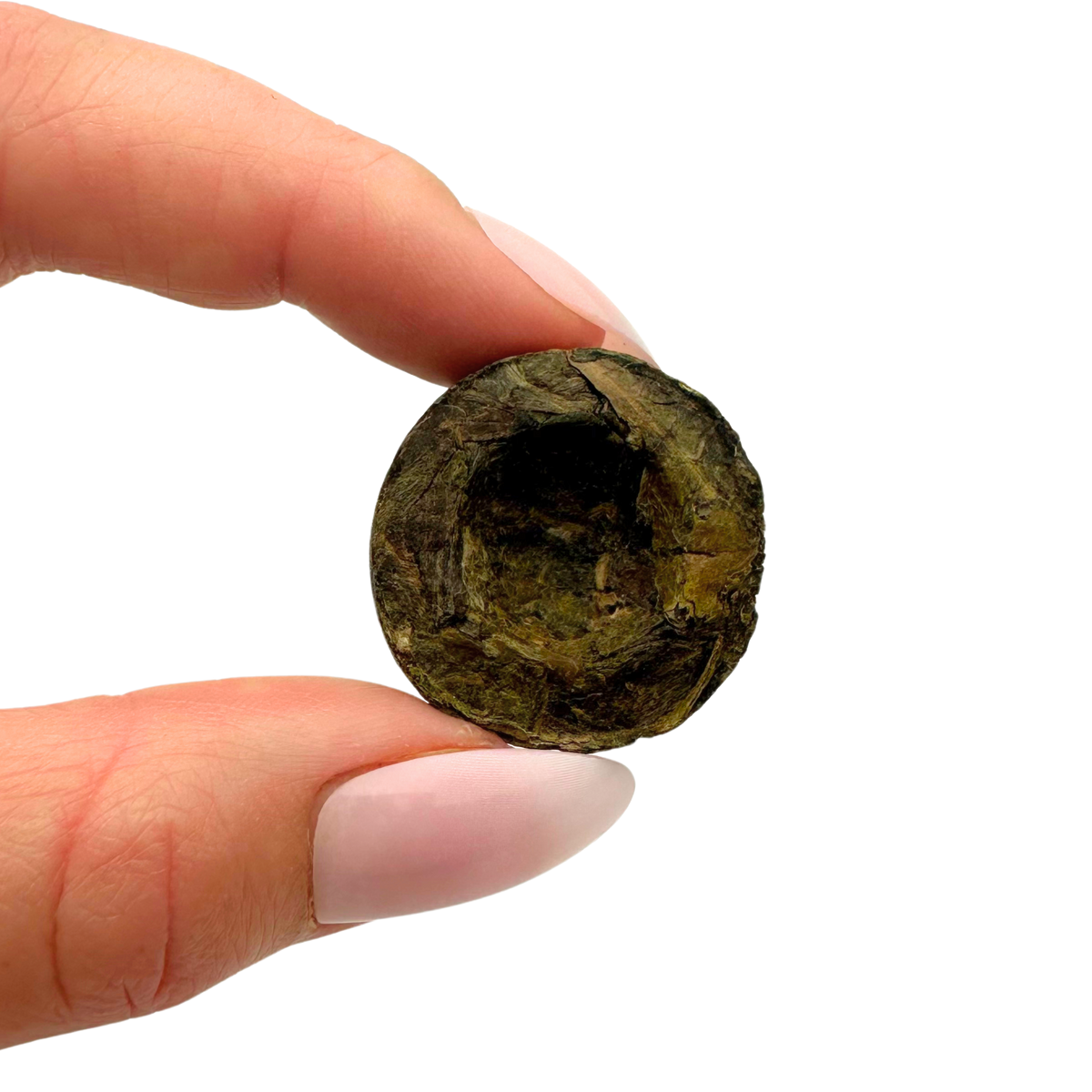 Pu-erh Mini Tuocha pu-erh tea from Porter Hill, earthy and rich