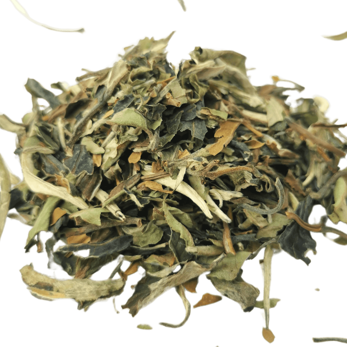 Pai Mu Tan (White Peony) - Porter Hill Tea Company
