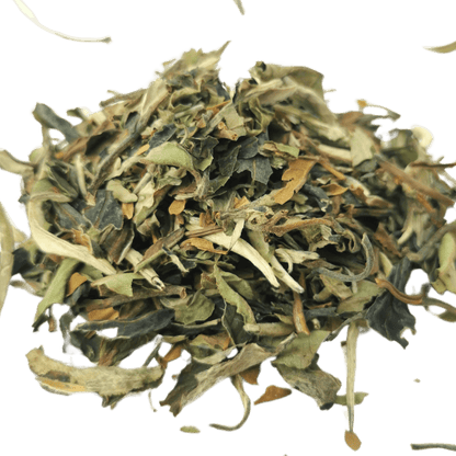 Pai Mu Tan (White Peony) - Porter Hill Tea Company
