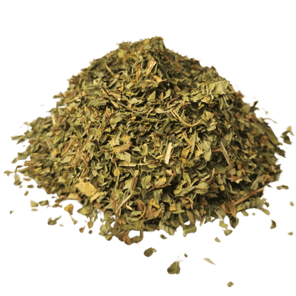 Peppermint herbal infusion