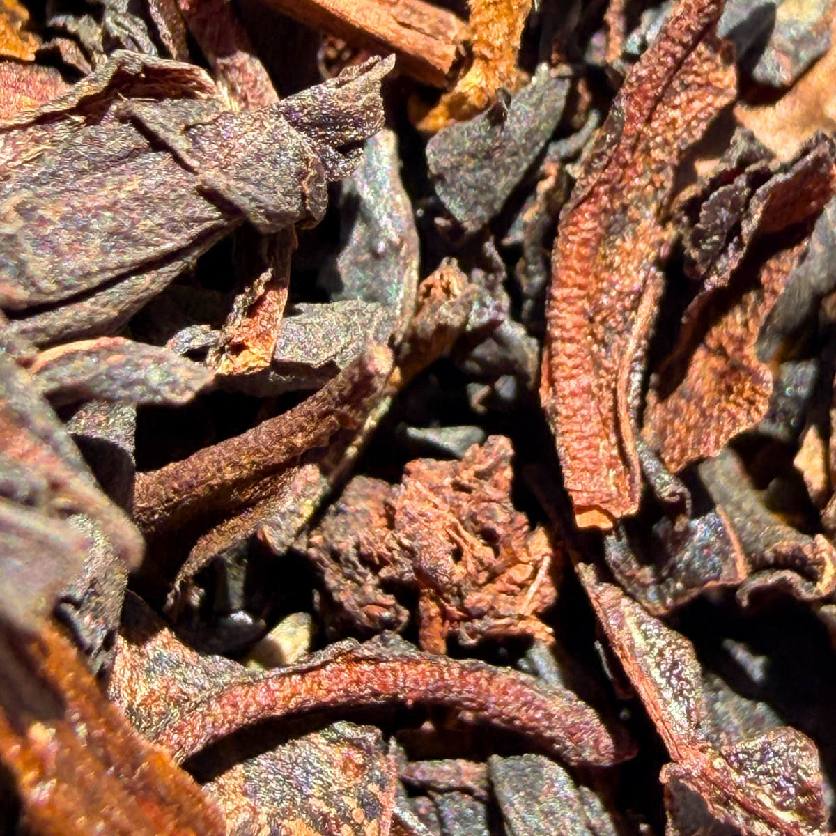 Formosa Oolong from Porter Hill, toasty and sweet