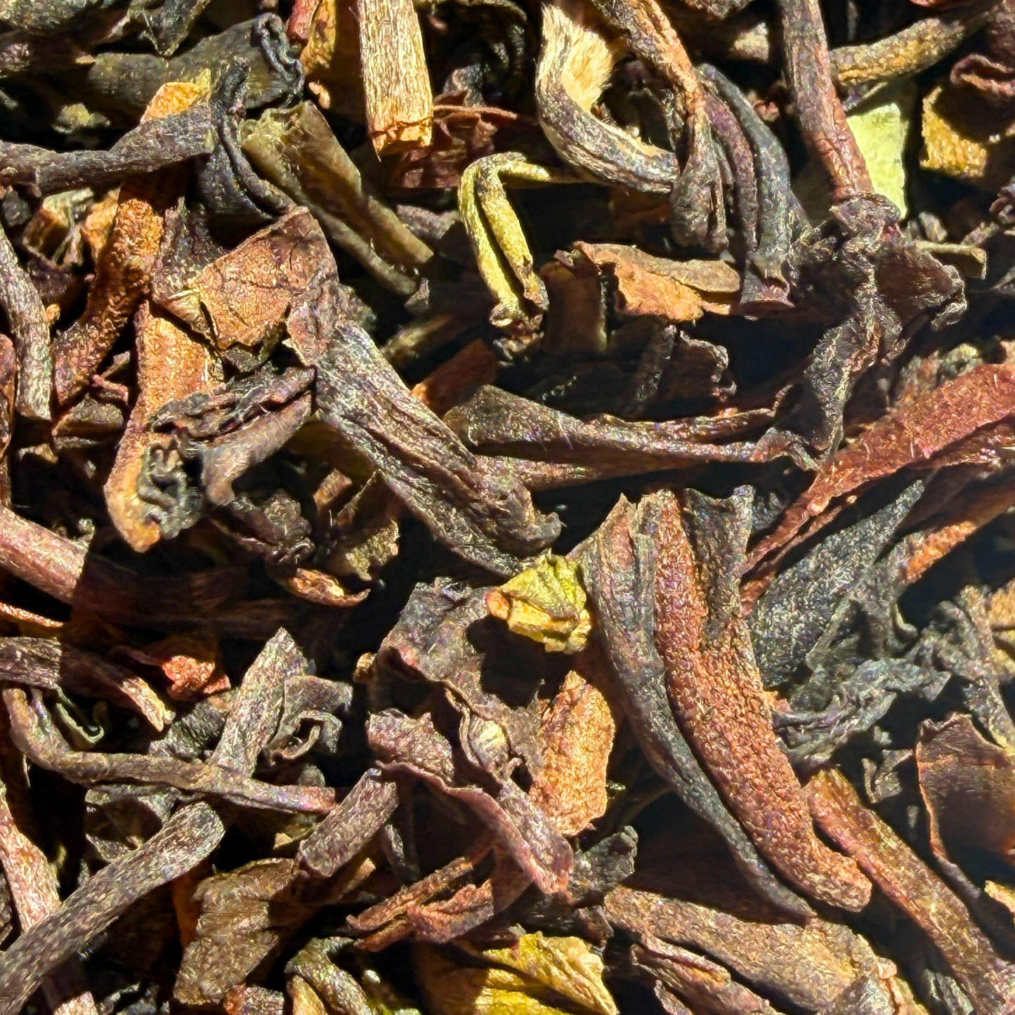 Margaret's Hope Darjeeling 2nd Flush TGFOP