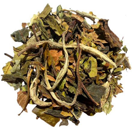 Pai Mu Tan (White Peony) white tea, loose leaf: delicate, floral and airy