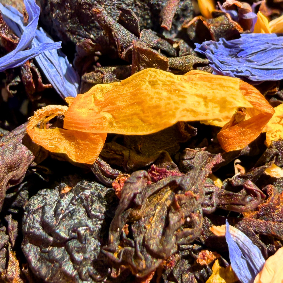 Blueberry Maple black tea from Porter Hill, blueberry and maple