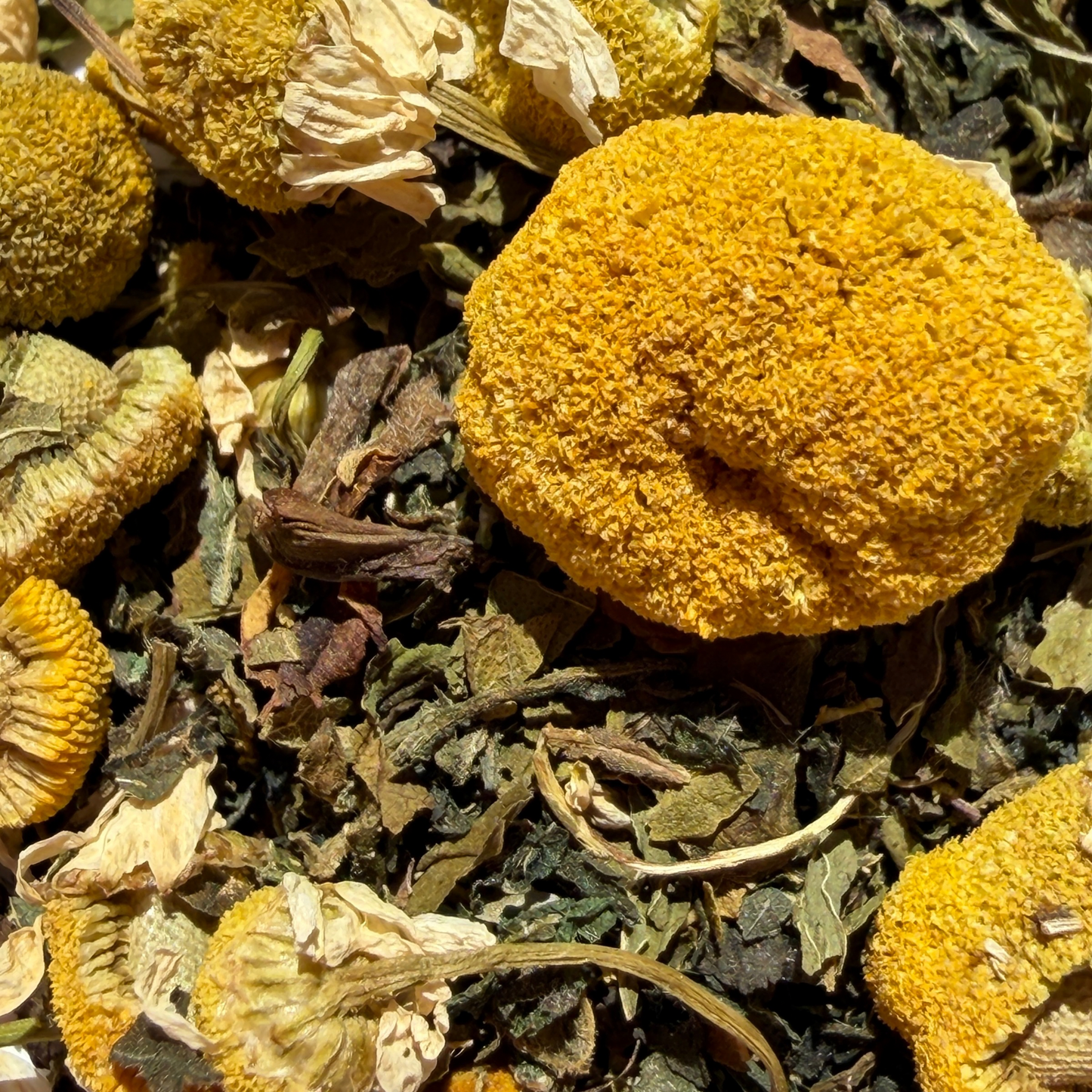 Porter_hill morning meadow walk natural_loose_leaf_tea_-_1