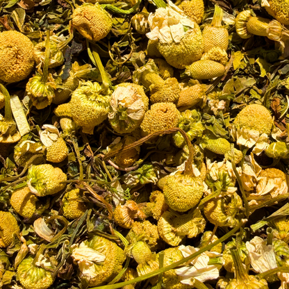 Porter_hill morning meadow walk natural_loose_leaf_tea