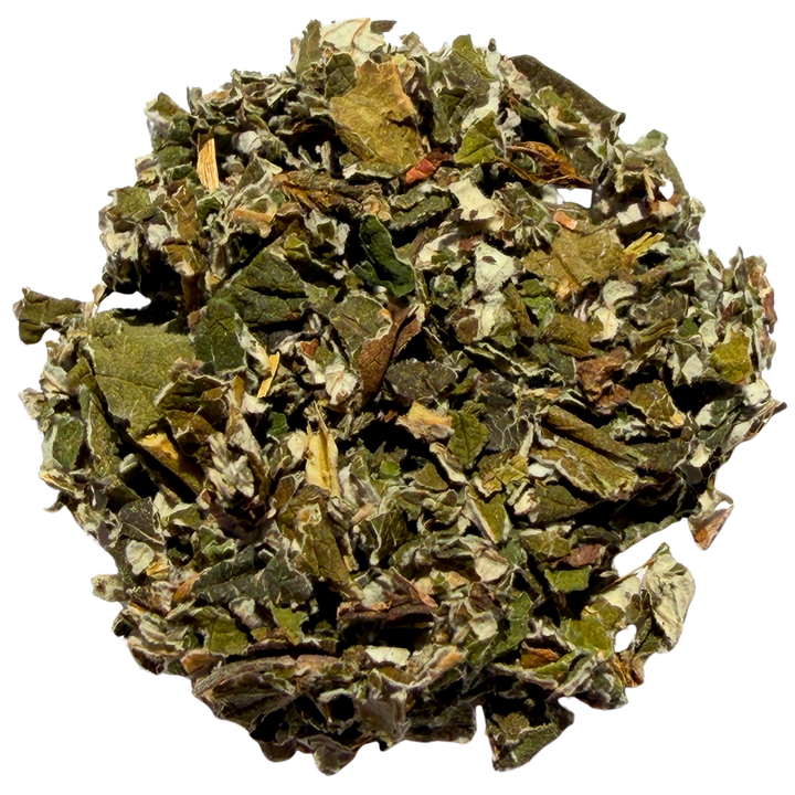 Raspberry Leaf Tea