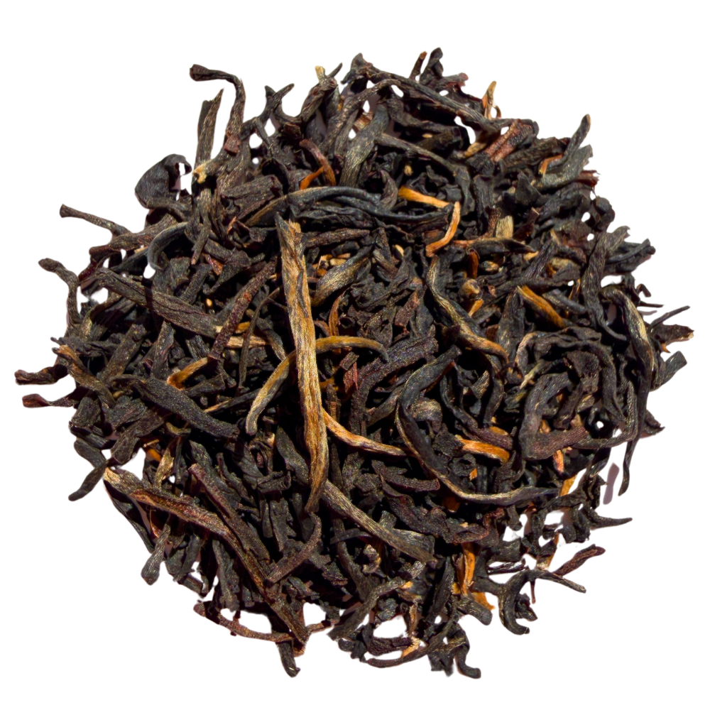 Lumbini Ceylon FBOPFEXS