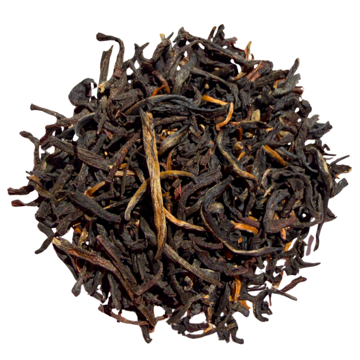 Lumbini Ceylon FBOPFEXS