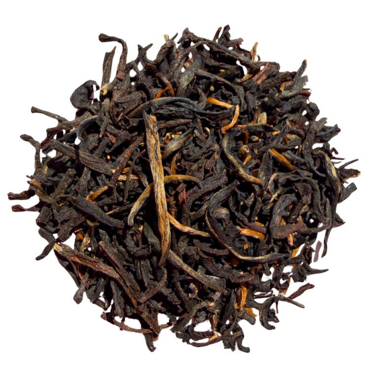 Lumbini Ceylon FBOPFEXS